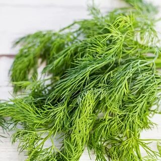 تصویر 1 از خرید شوید خشک صادراتی
